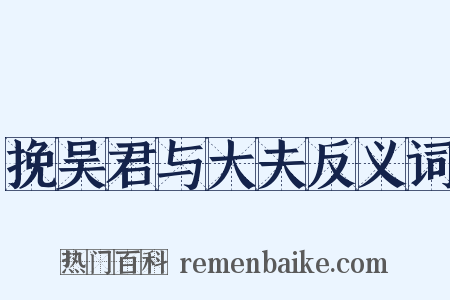 挽吴君与大夫反义词是什么意思的图片
